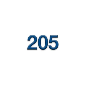 205