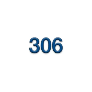 306