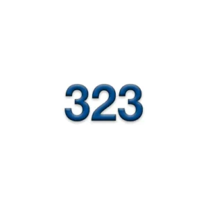 323