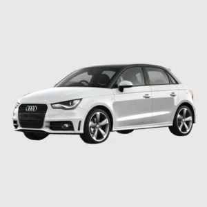 A1