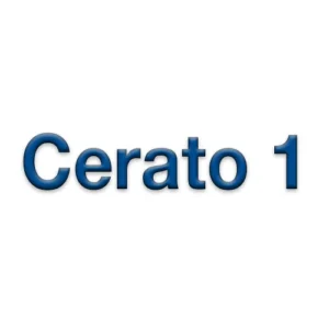 Cerato 1