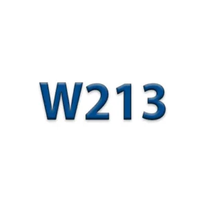 W213