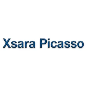 Xsara Picasso